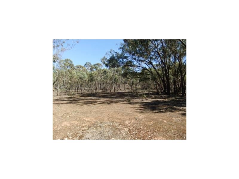 Stanley Road, St Arnaud VIC 3478