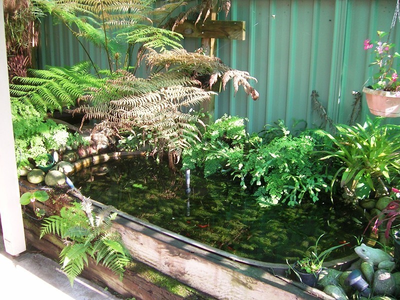 6 Fifth St, Eildon VIC 3713