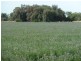 851 BAMAWM ROAD, Bamawm VIC 3561