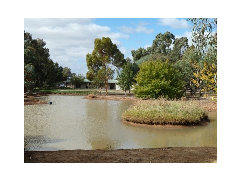 244 FARLEY ROAD, Echuca VIC 3564