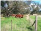 301 Spring Creek Rd, Alexandra VIC 3714