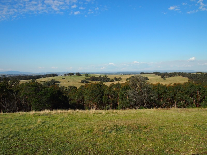 20 Coopers Road, Willowmavin VIC 3764