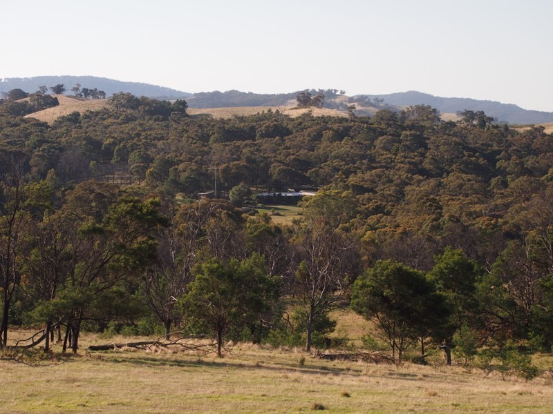 20 Coopers Road, Willowmavin VIC 3764