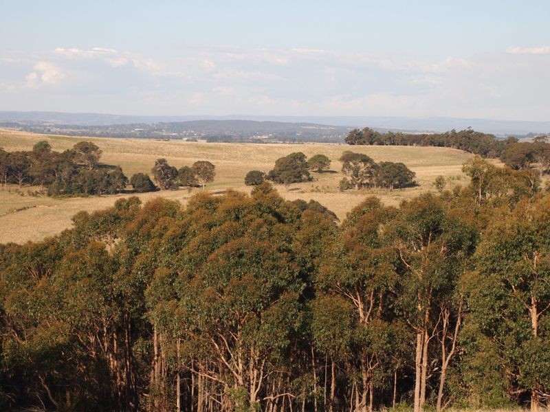 20 Coopers Road, Willowmavin VIC 3764