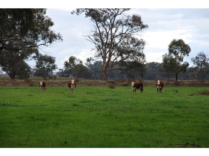 304 Maidment Rd, Koonoomoo VIC 3644