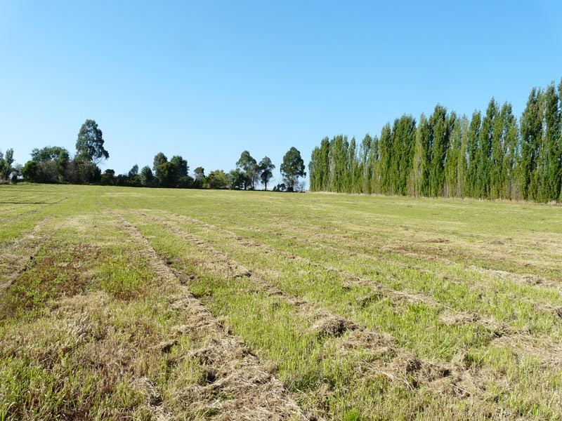 4 Tarrawarra Road, Coldstream VIC 3770