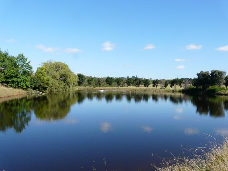 4 Tarrawarra Road, Coldstream VIC 3770