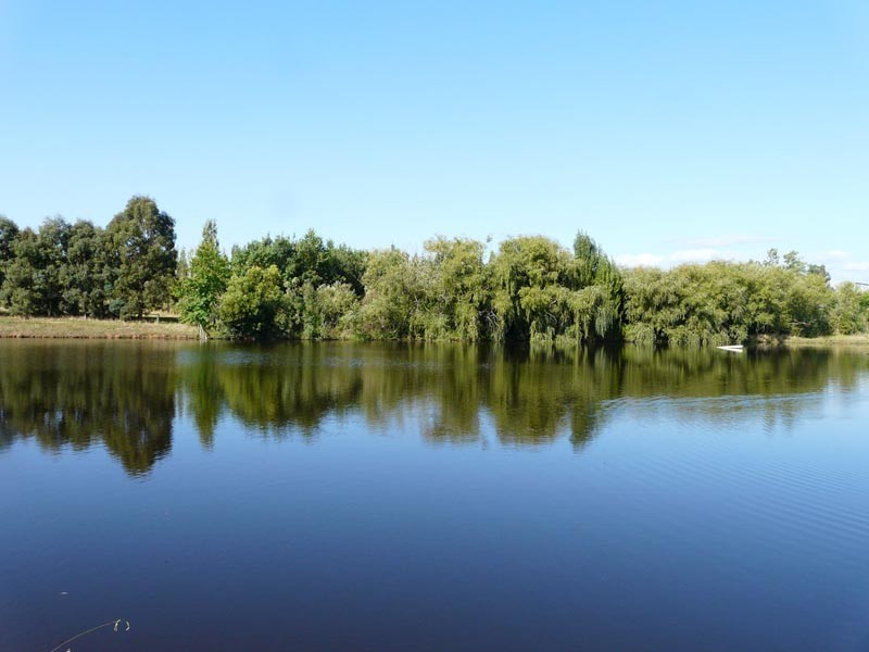 4 Tarrawarra Road, Coldstream VIC 3770