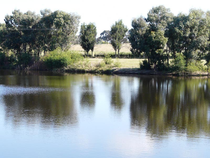 4 Tarrawarra Road, Coldstream VIC 3770