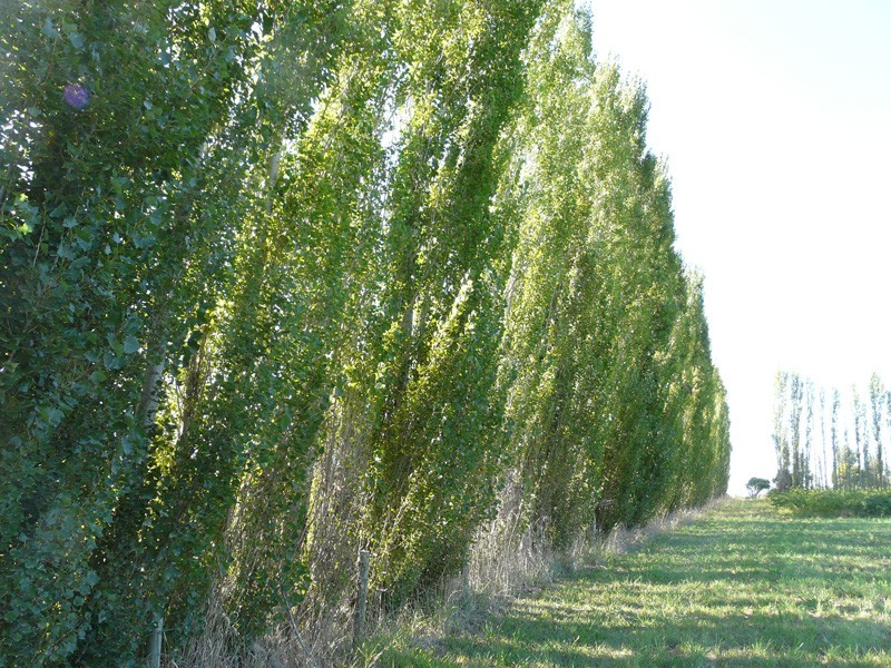 4 Tarrawarra Road, Coldstream VIC 3770