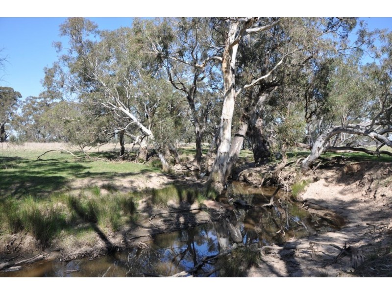 - Violet Town-Murchison  Road, Arcadia South VIC 3631