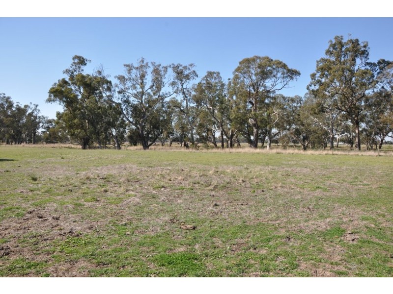 - Violet Town-Murchison  Road, Arcadia South VIC 3631