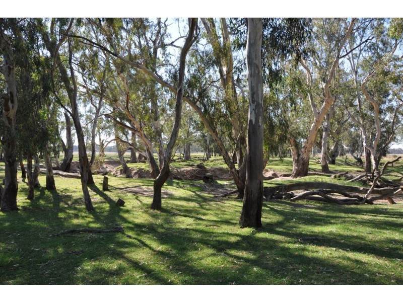 - Violet Town-Murchison  Road, Arcadia South VIC 3631