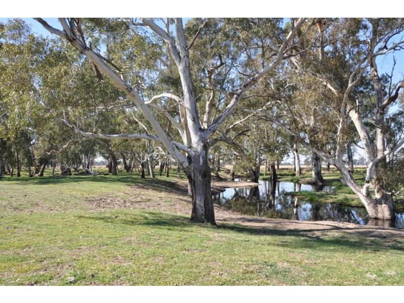 - Violet Town-Murchison  Road, Arcadia South VIC 3631