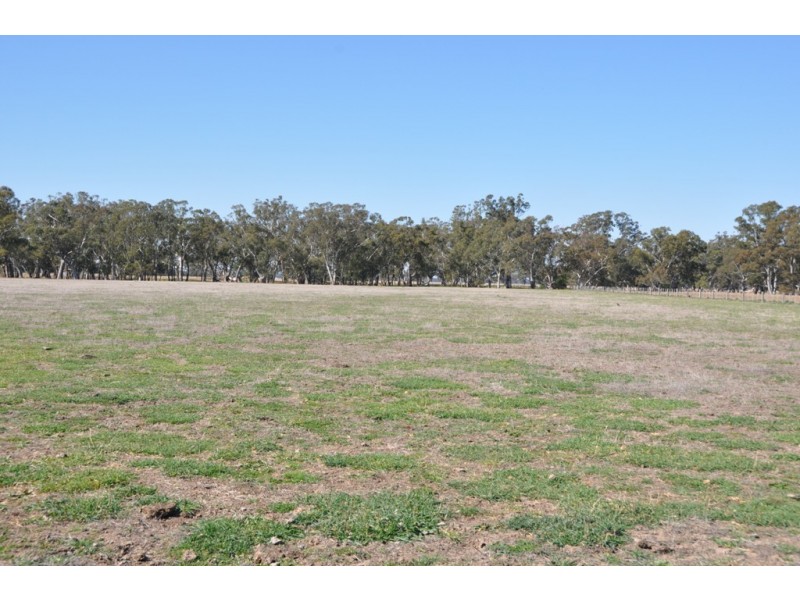 - Violet Town-Murchison  Road, Arcadia South VIC 3631