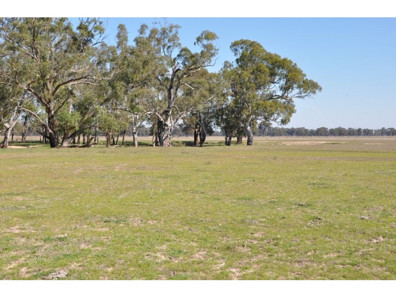 - Violet Town-Murchison  Road, Arcadia South VIC 3631