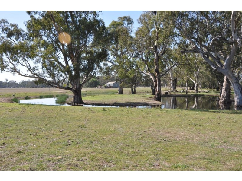 - Violet Town-Murchison  Road, Arcadia South VIC 3631