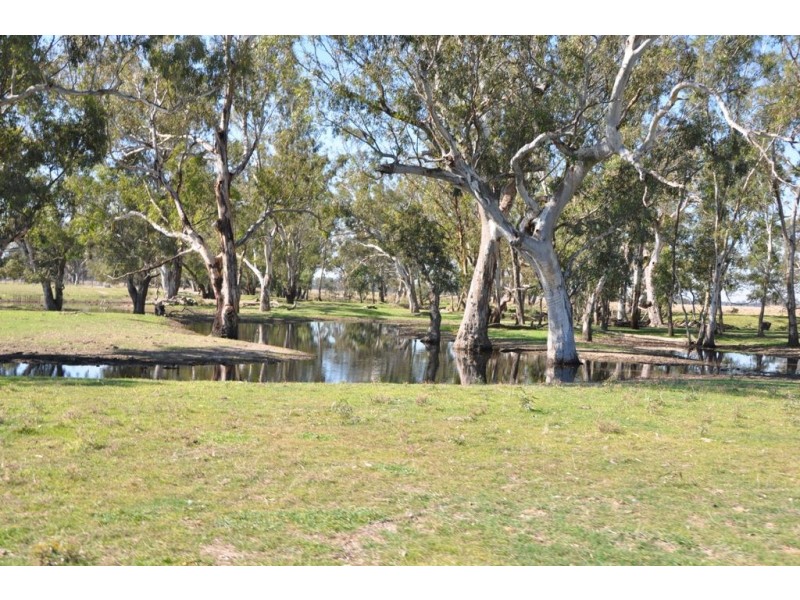 - Violet Town-Murchison  Road, Arcadia South VIC 3631