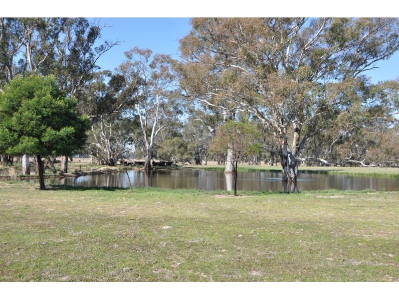 - Violet Town-Murchison  Road, Arcadia South VIC 3631