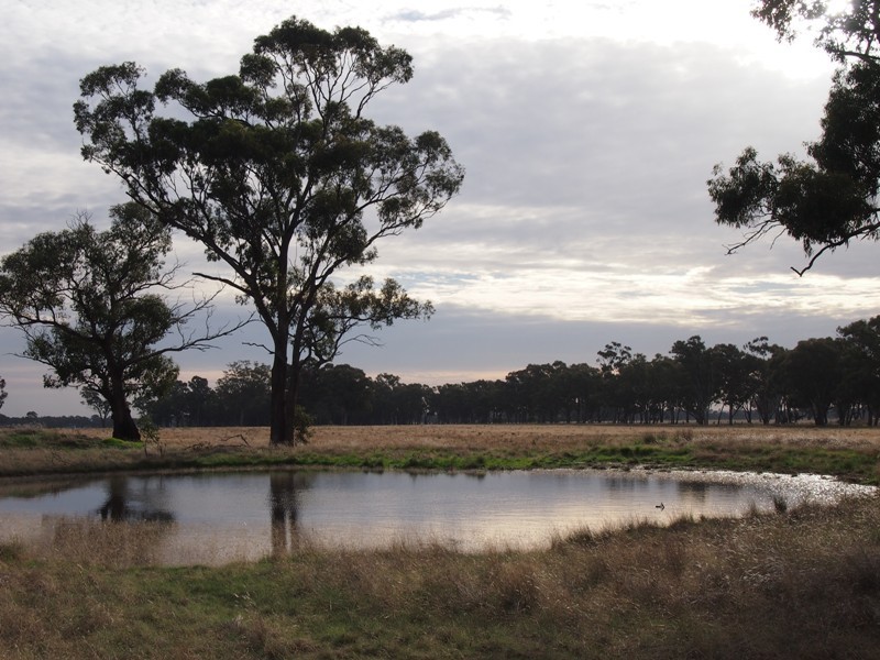 - Monea Road, Locksley via, Avenel VIC 3664