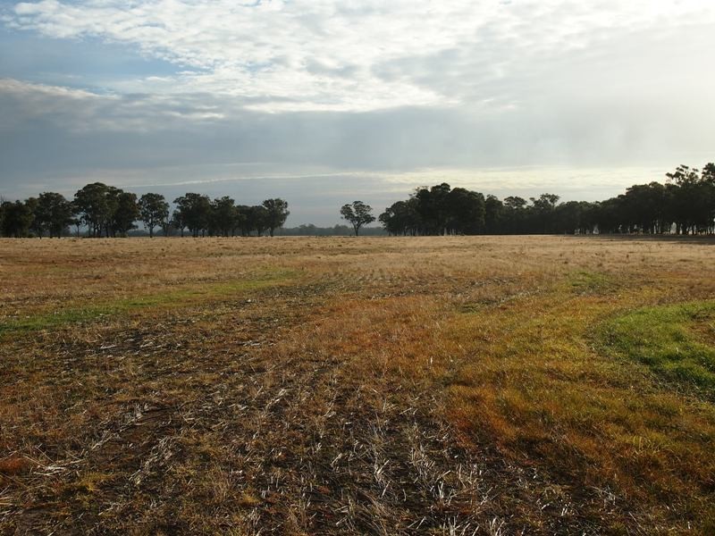 - Monea Road, Locksley via, Avenel VIC 3664