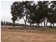 - Monea Road, Locksley via, Avenel VIC 3664