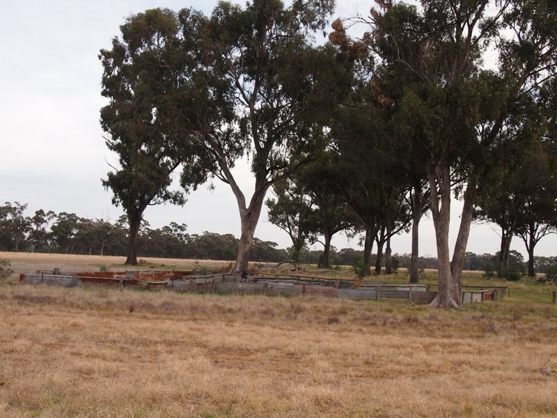 - Monea Road, Locksley via, Avenel VIC 3664