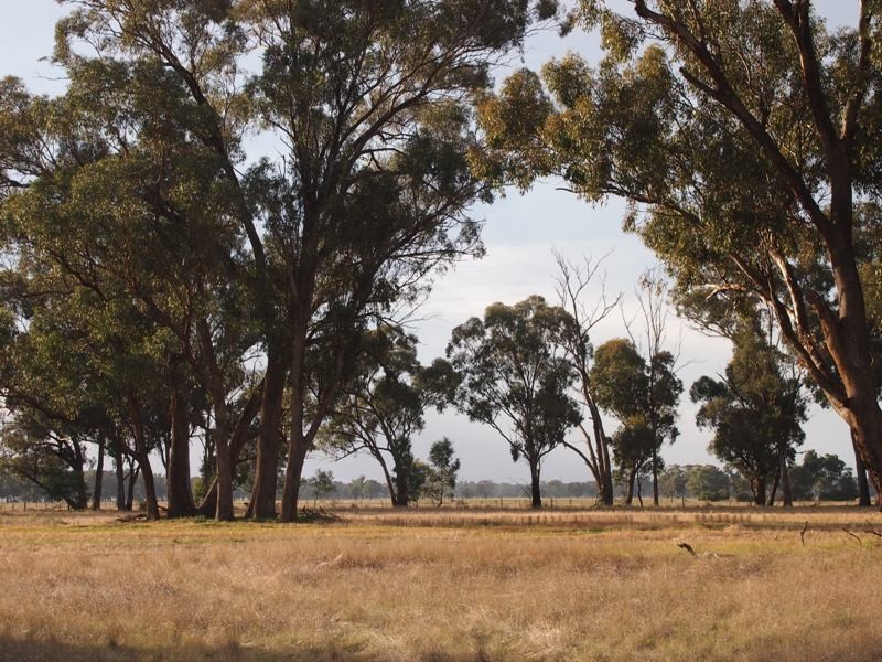 - Monea Road, Locksley via, Avenel VIC 3664