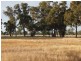 - Monea Road, Locksley via, Avenel VIC 3664
