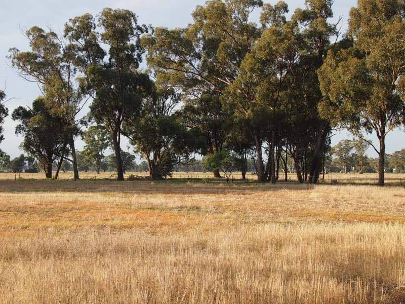 - Monea Road, Locksley via, Avenel VIC 3664