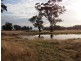 - Monea Road, Locksley via, Avenel VIC 3664