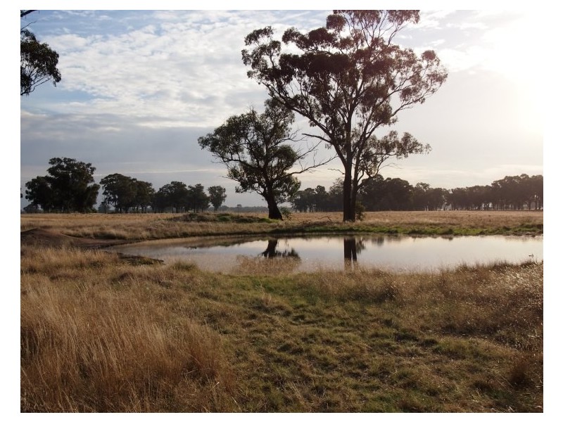 - Monea Road, Locksley via, Avenel VIC 3664