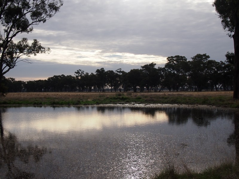 - Monea Road, Locksley via, Avenel VIC 3664