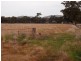 - Monea Road, Locksley via, Avenel VIC 3664