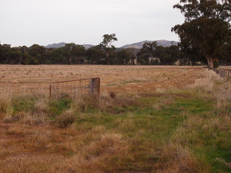 - Monea Road, Locksley via, Avenel VIC 3664