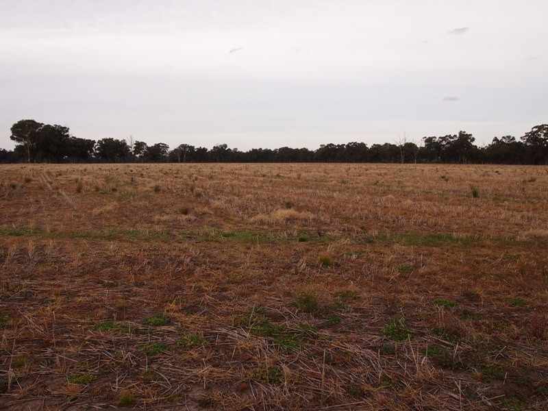 - Monea Road, Locksley via, Avenel VIC 3664