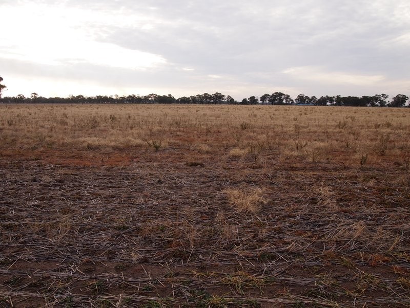 - Monea Road, Locksley via, Avenel VIC 3664