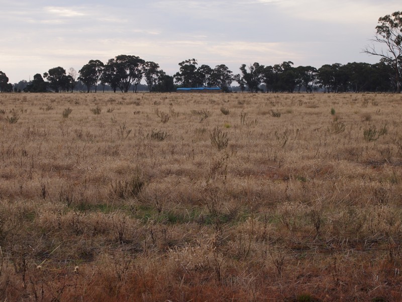 - Monea Road, Locksley via, Avenel VIC 3664