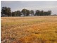 - Monea Road, Locksley via, Avenel VIC 3664
