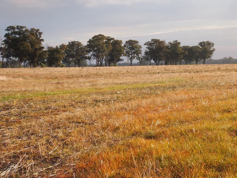 - Monea Road, Locksley via, Avenel VIC 3664