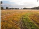 - Monea Road, Locksley via, Avenel VIC 3664