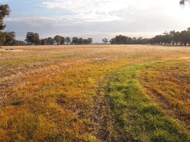 - Monea Road, Locksley via, Avenel VIC 3664
