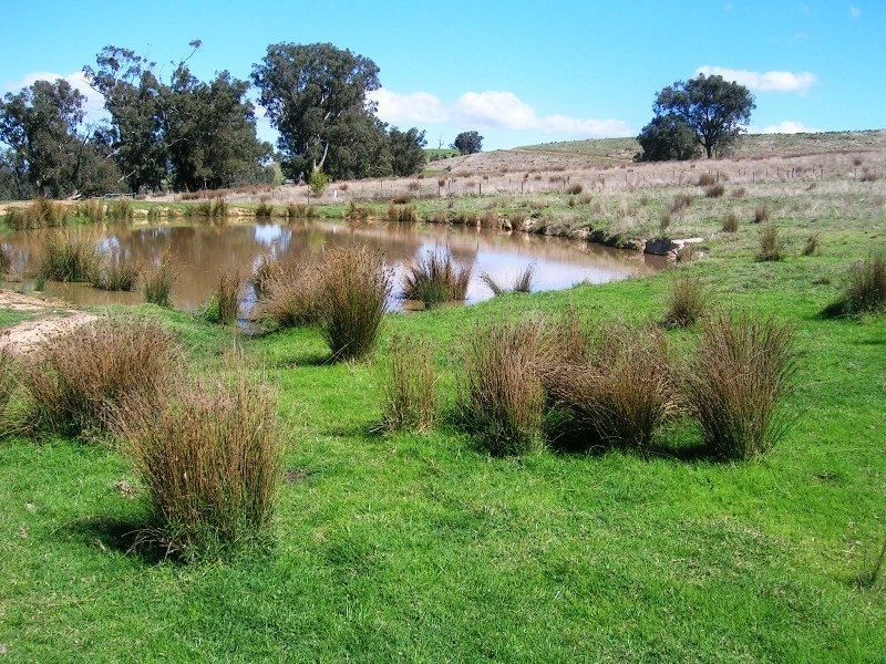 Lot 2 – 71 Johnsons Ck Rd, Alexandra VIC 3714