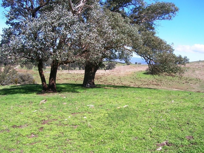 Lot 2 – 71 Johnsons Ck Rd, Alexandra VIC 3714