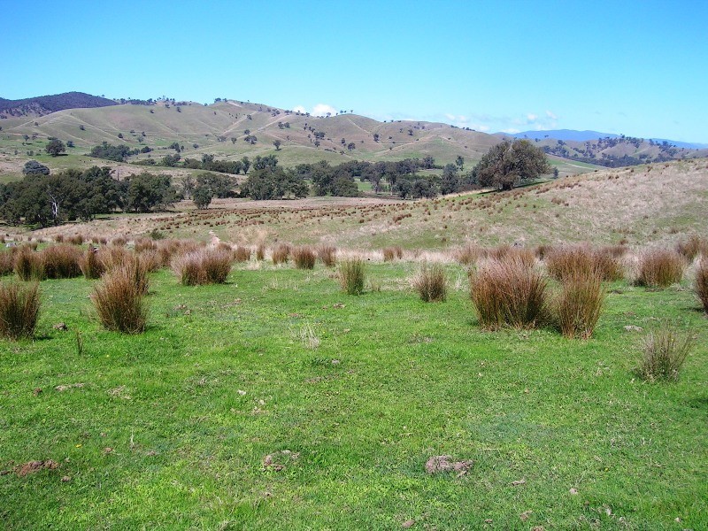 Lot 2 – 71 Johnsons Ck Rd, Alexandra VIC 3714