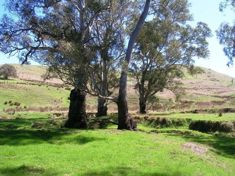 Lot 2 – 71 Johnsons Ck Rd, Alexandra VIC 3714