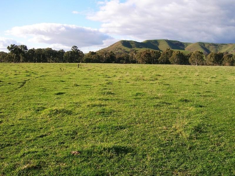 1000 Whanregarwen Road, Alexandra VIC 3714