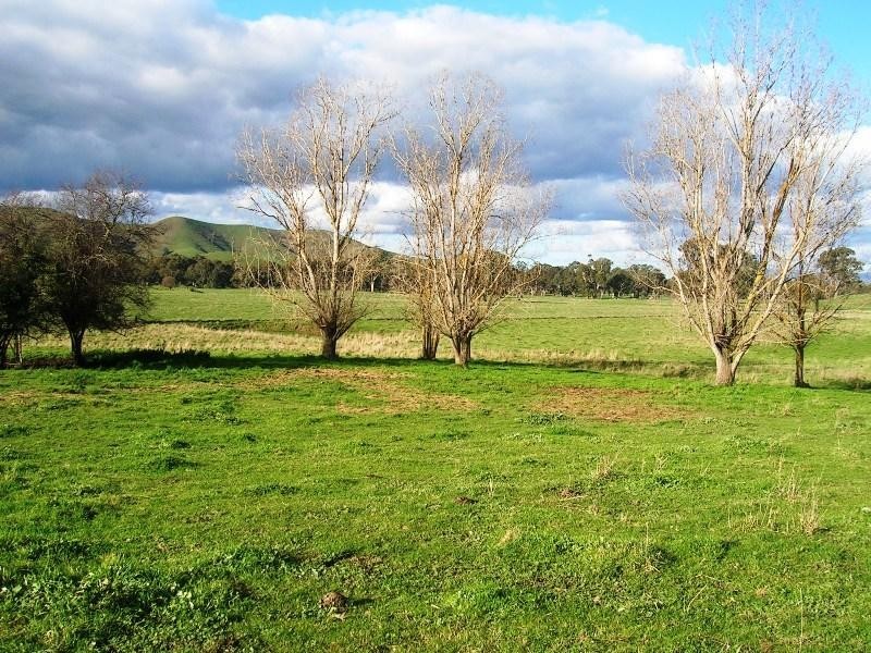 1000 Whanregarwen Road, Alexandra VIC 3714