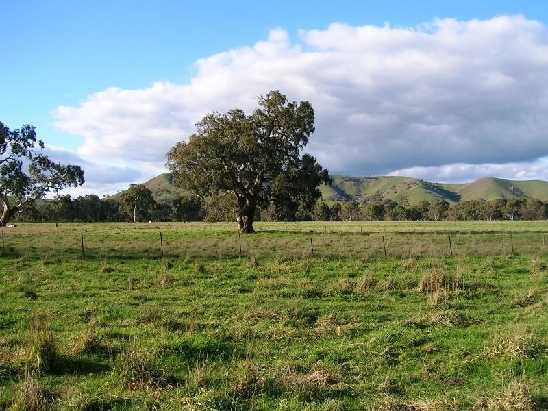 1000 Whanregarwen Road, Alexandra VIC 3714