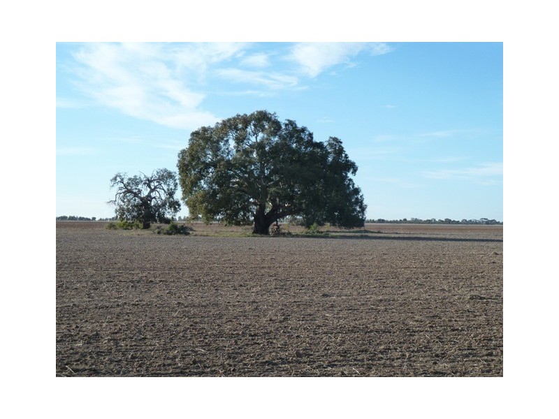 0 Highett Road, Echuca VIC 3564